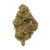 Watermelon-CBD-Bud-Mix-Green-House