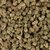fleur-cbd-critical-small-bud-indoor