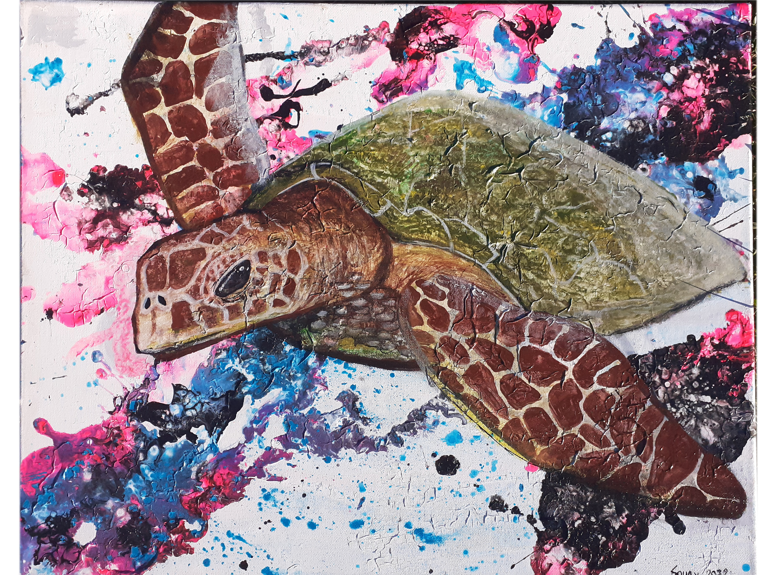 poster tortue 1