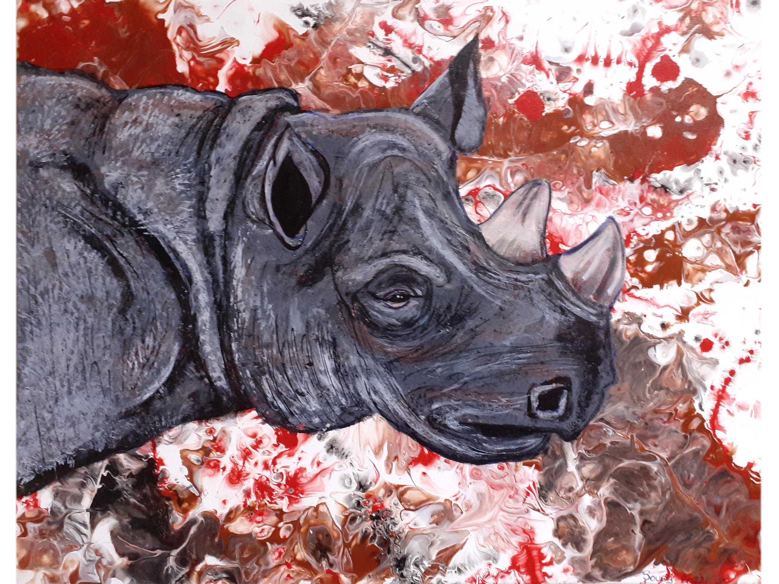 Rhinocéros 1
