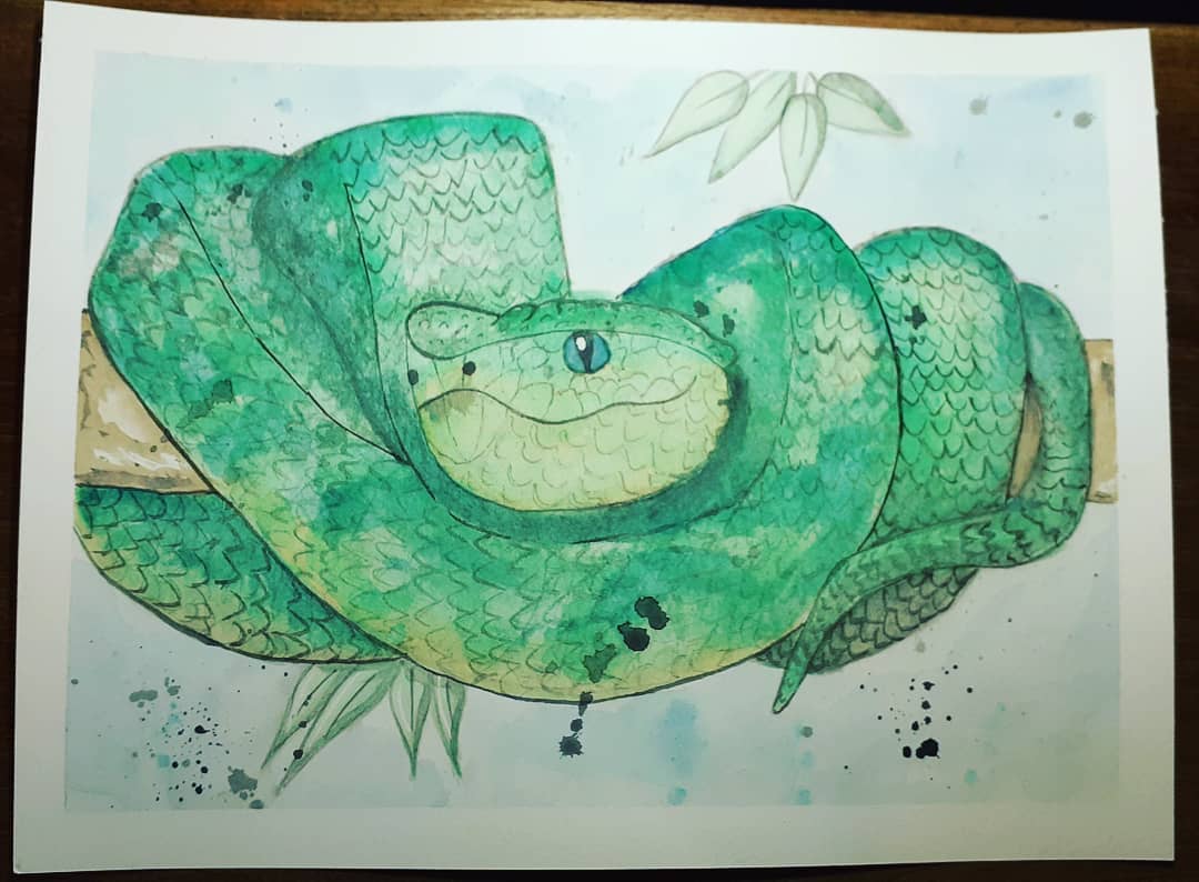 Aquarelle Serpent 1