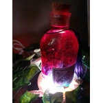 lampe potion 113 féerie création