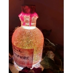 lampe potion féerie création