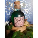 lampe potion féerie création