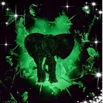 elephant phospho soucy creation