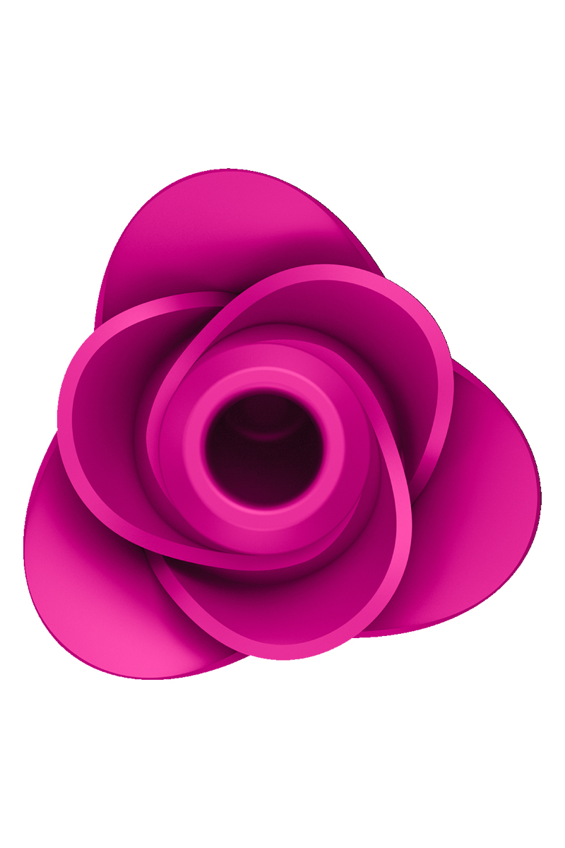 sextoy rose Stimulateur clitoridien rose Satisfyer Pro 2 Modern Blossom