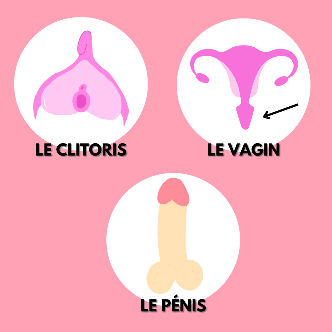Tout connaître sur les zones érogènes du corps