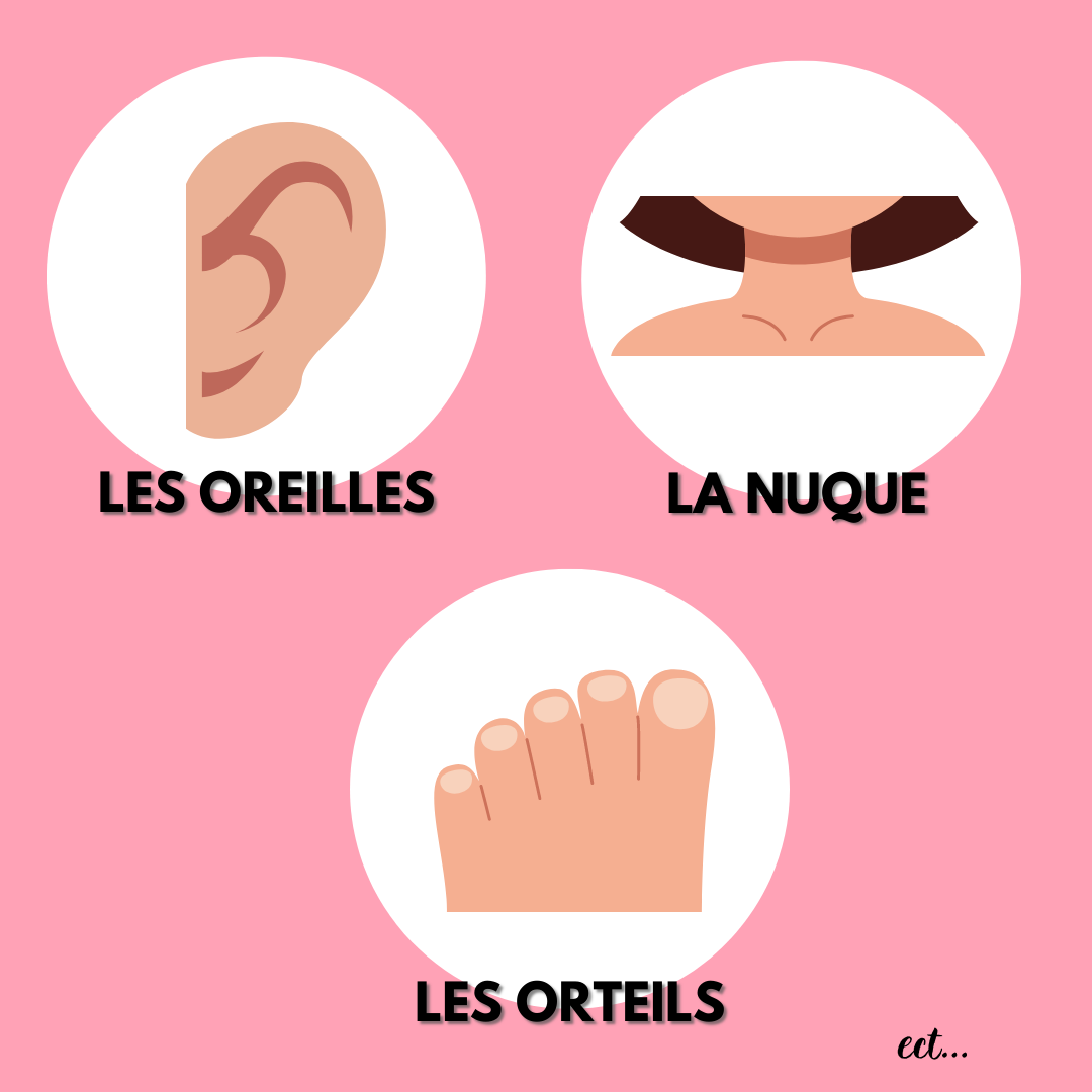 Tout connaître sur les zones érogènes du corps