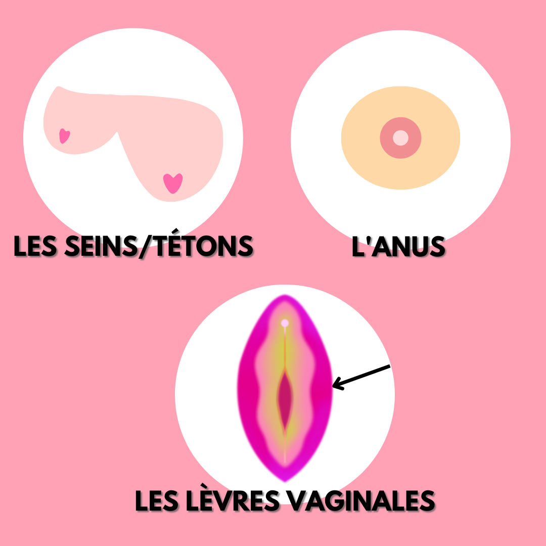 Tout connaître sur les zones érogènes du corps