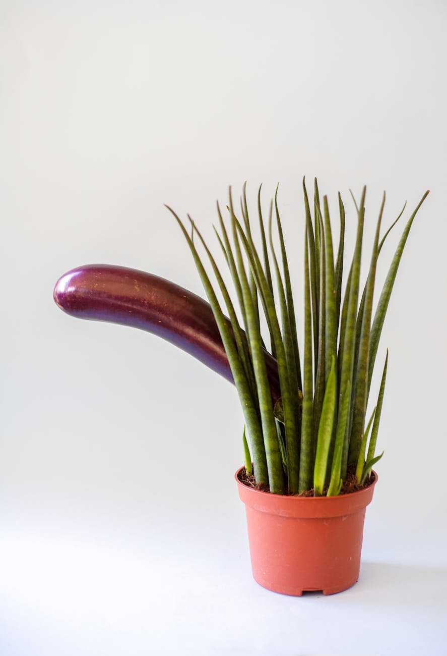 Comment les sextoys peuvent transformer ta vie sexuelle !