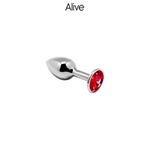 plug-anal-taille-s-alive
