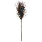 Plumeau à caresses Peacock Tickler - Taboom, Plumeau à caresses - Pour hommes et femmes - Stimulation des sens - Longueur : 27 cm - Matière : métal sans nickel, plumes - Marque : Taboom / collection Dona, verticale, ooh my god