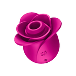 Stimulateur clitoridien rose Satisfyer Pro 2 Modern Blossom