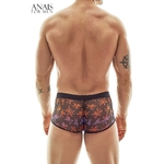 vue de dos du Boxer transparent Chill Anaïs Apparel, boser pour homme sexy à imprimé cocotiers vendu chez oohmygod