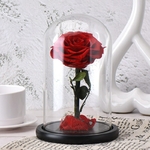 Rose_eternelle_sous_cloche_rouge