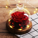 Rose_eternelle_sous_dome_rouge