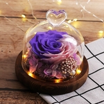 Rose_eternelle_sous_dome_violet_rose