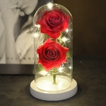 Rose_rouge_double_sous_cloche