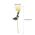 taille_rose_eternelle_bouquet