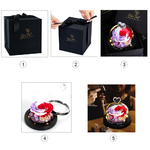 coffret_cadeau_rose_eternelle_stabilisée