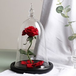 Bouquet Rose Éternelle | Rose Dorée | Véritable Rose Stabilisée