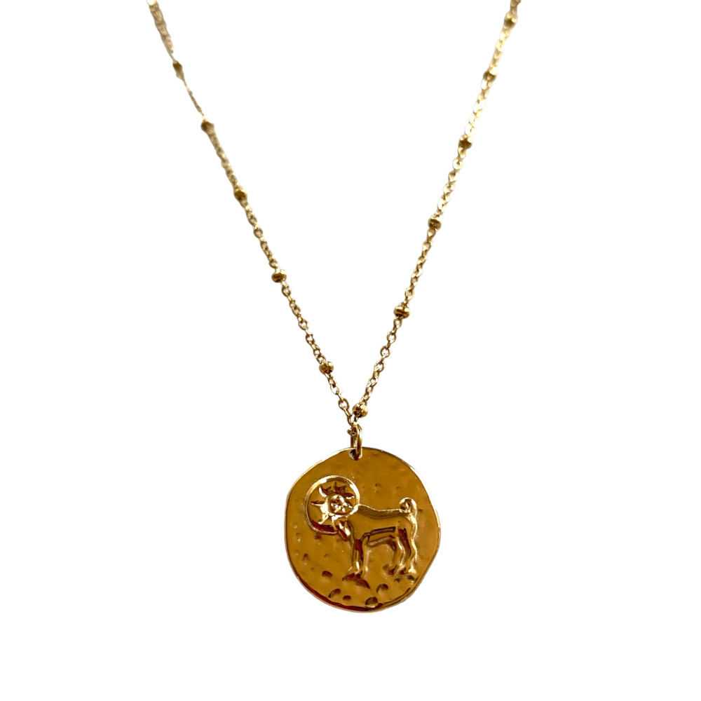 collier avec medaille frappee avec un belier symbolisant le signe astrologique mis en valeur fond blanc