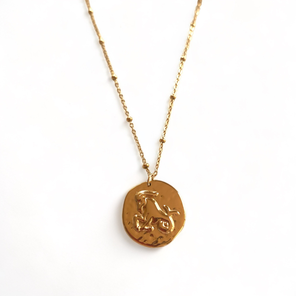 Collier signe astrologique capricorne