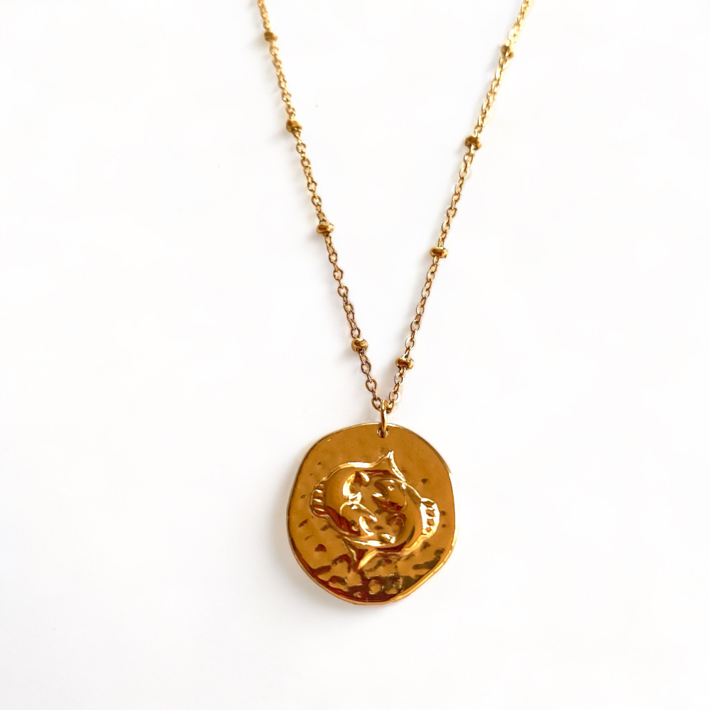 collier pendentif medaille frappee avec des poissons symbolisant le signe astrologique expose fond blanc