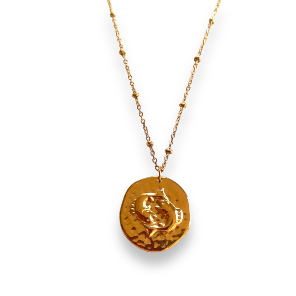 collier pendentif medaille frappee avec des poissons symbolisant le signe astrologique expose fond blanc