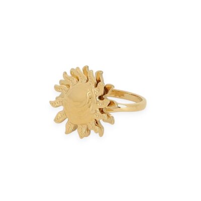 bague tournante Solis en acier inoxydable doré avec soleil rotatif