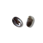 boucles d oreilles clip forme ovale en acier brosse mat pour oreilles non percees exposees fond blanc vera
