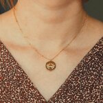 collier pendentif medaille frappee avec un crabe symbolisant le signe astrologique cancer porte