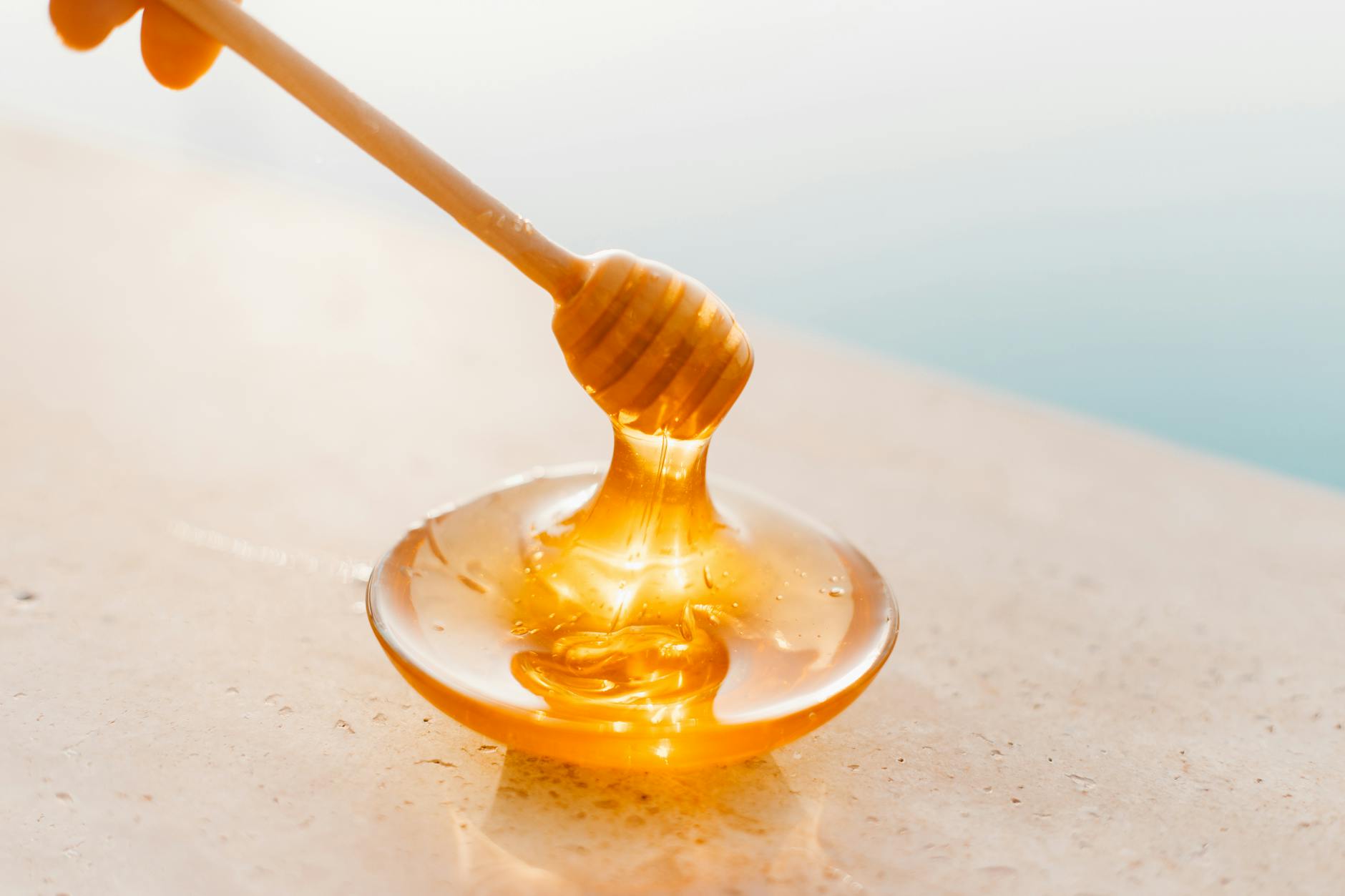 photos gratuites de abeilles alveole automne