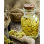 immortelle