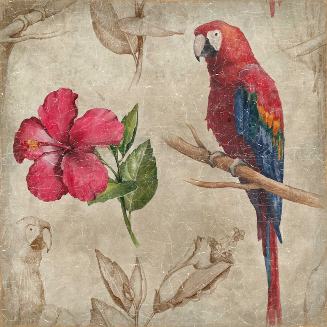 Tableau perroquet hibiscus sur fond blanc
