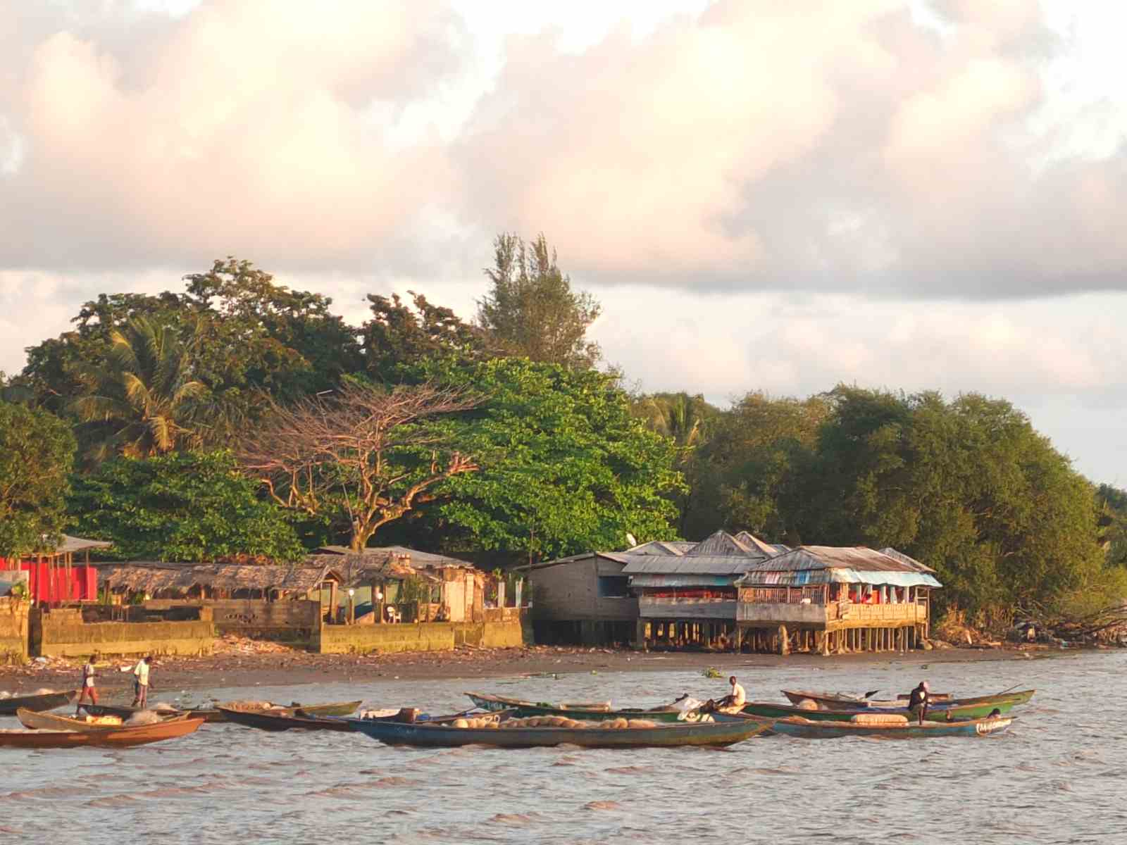 cameroun 2