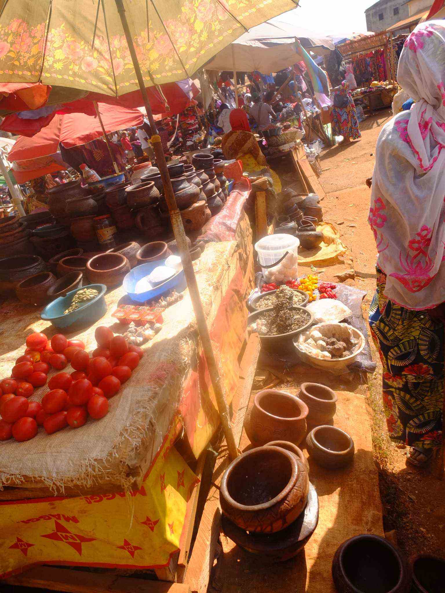 cameroun 3