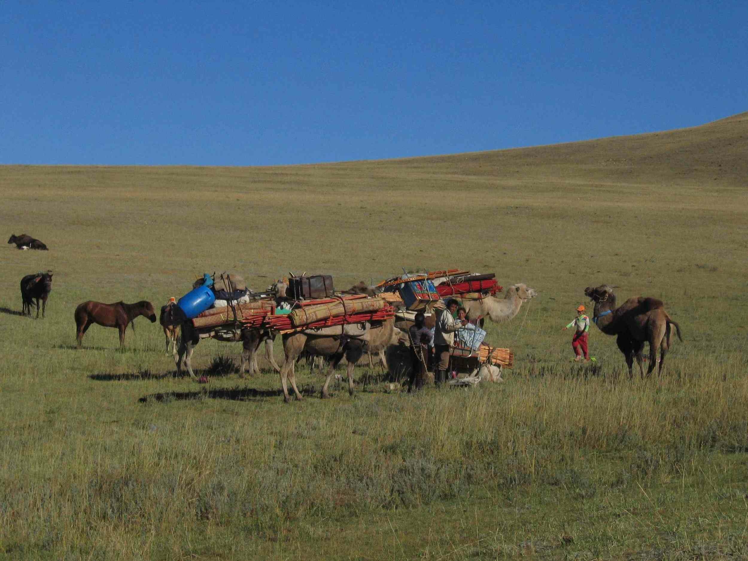 mongolie 3