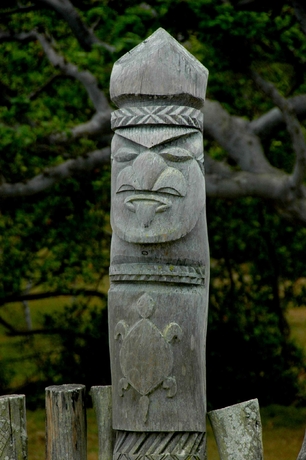 Day7-Isle of Pines (63)