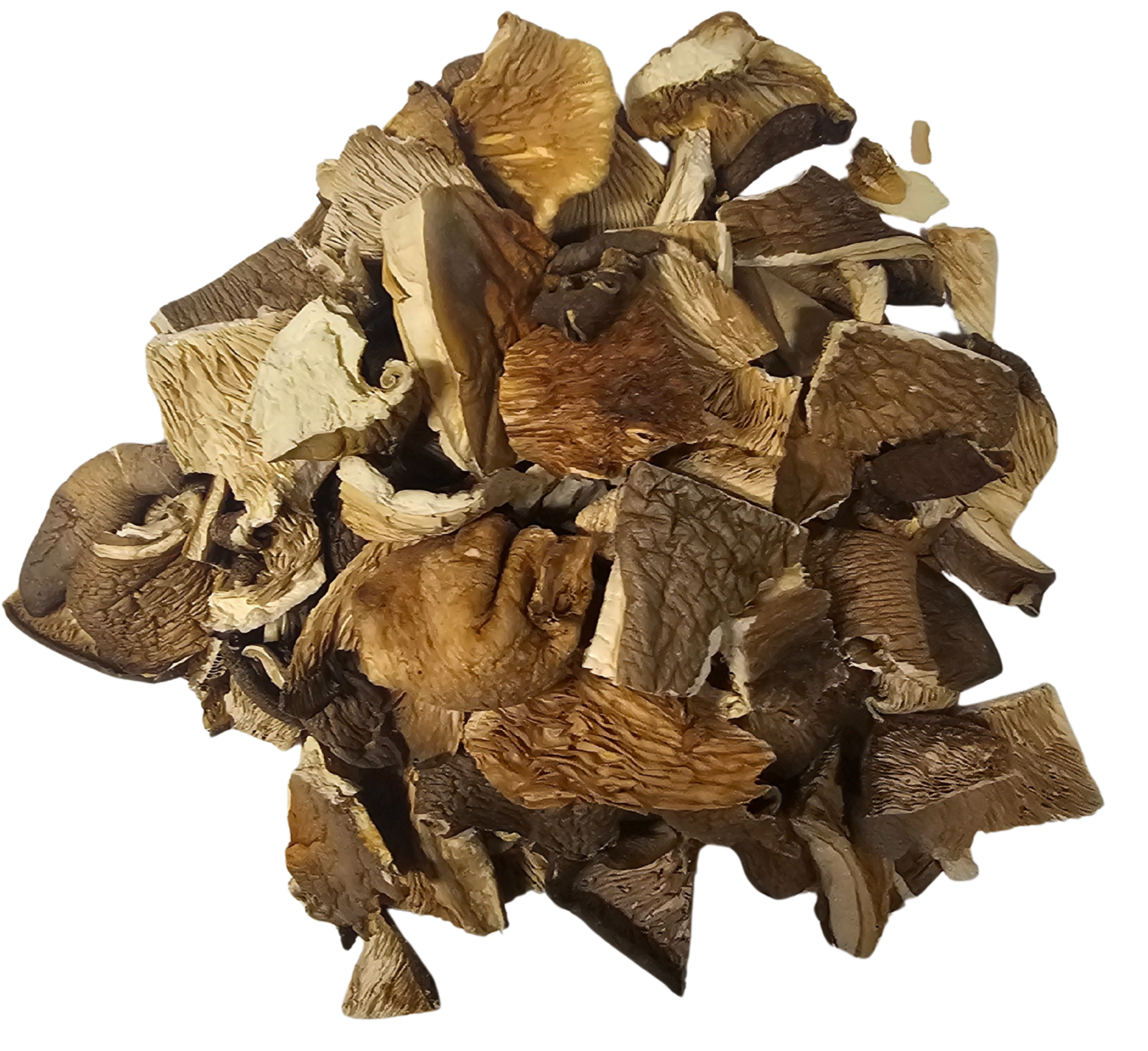 pleurote