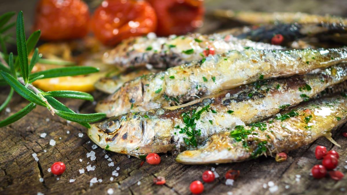 Sardine bel dersa
