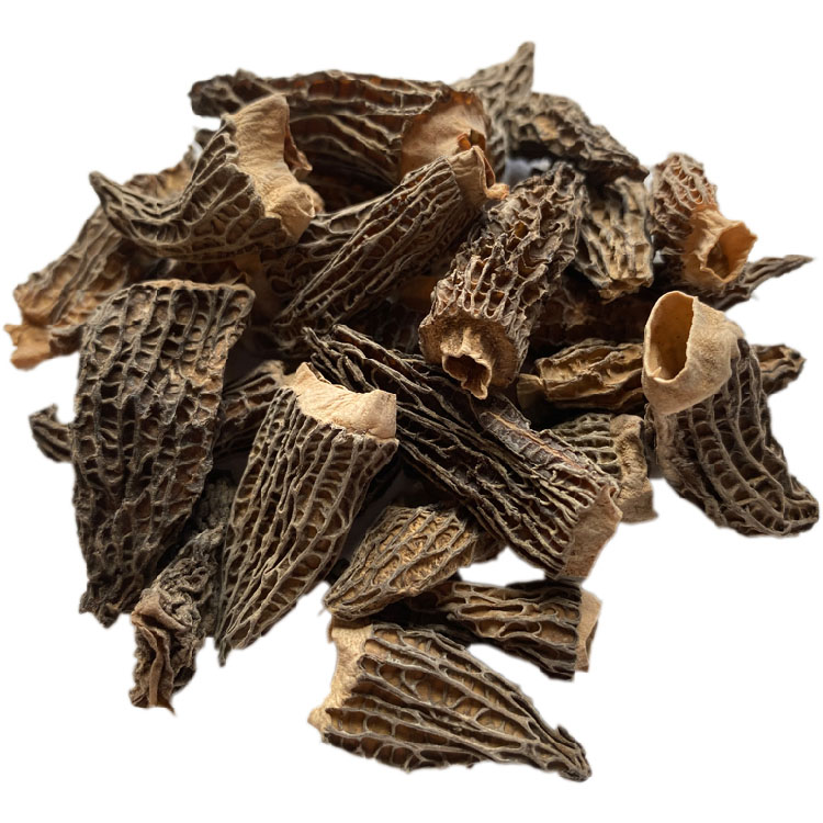 Morilles sauvages de Patagonie