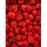 piment carolina reaper