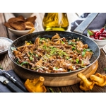 champignons forestier