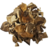 pleurote