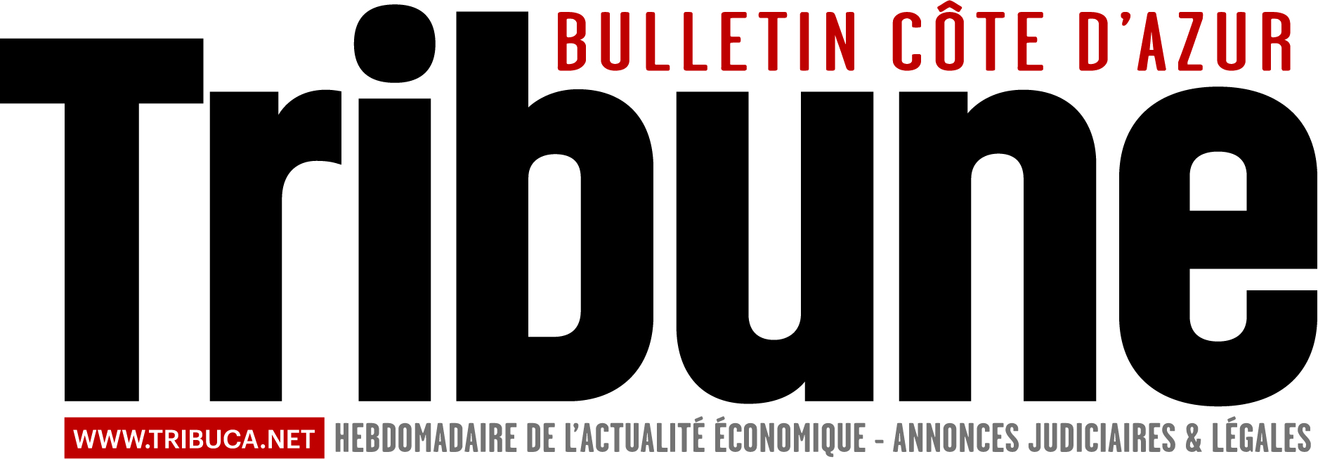 Bouquet De Fruits dans Tribune