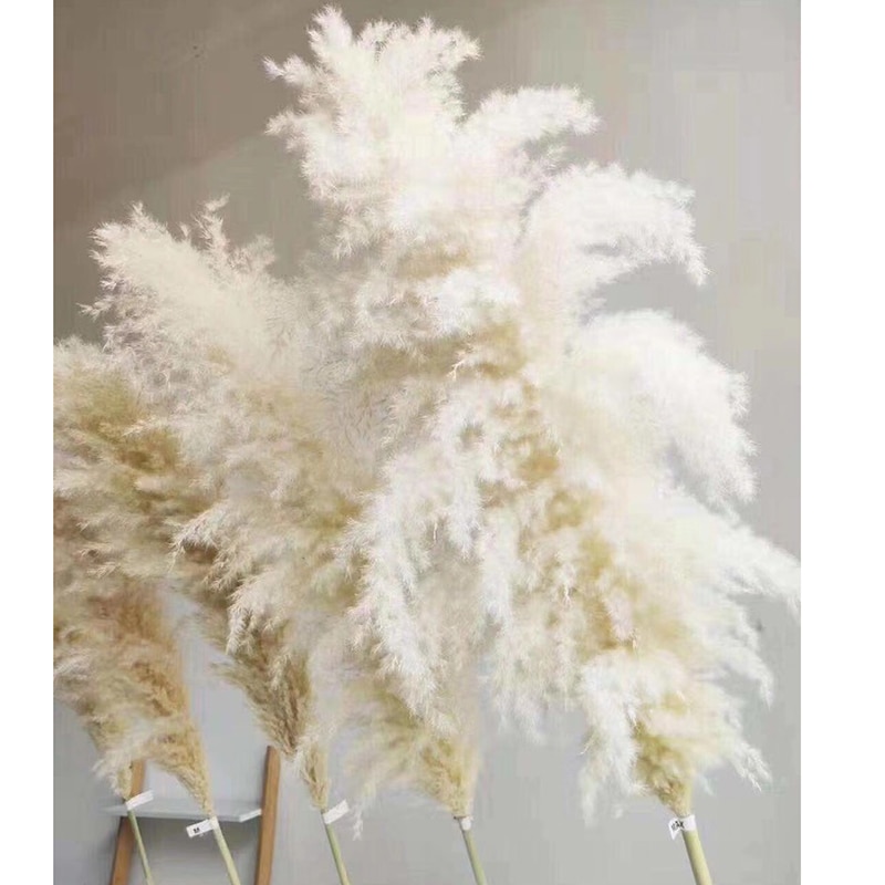 Bouquet-de-roseaux-blancs-naturels-s-ch-s-3-pi-ces-55cm-80cm-grosses-herbes-des
