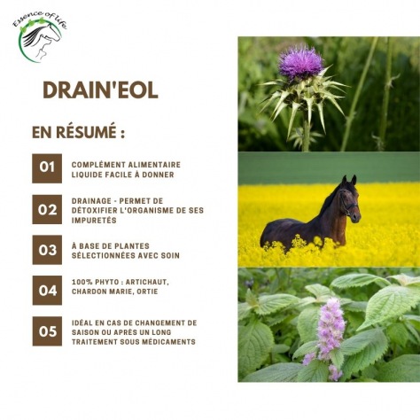 drain-eol (1)