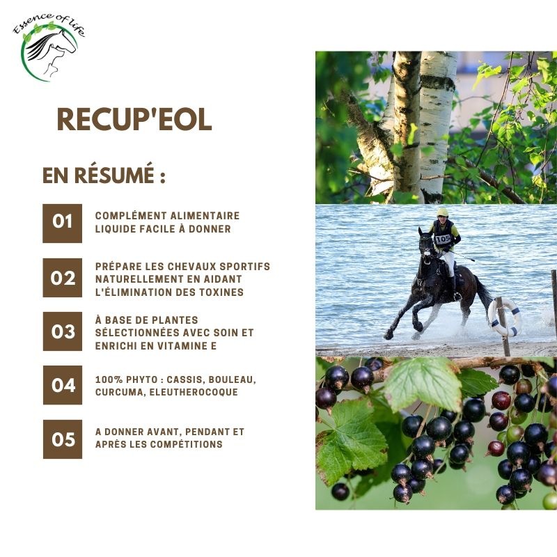 recup-eol (1)