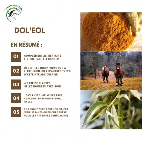 dol-eol (1)
